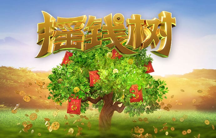 天博TB·体育综合